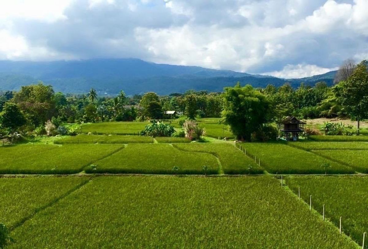 ขายที่ดินเชียงใหม่ : ขายที่ดินเชียงใหม่ อ.แม่ริม เหมาะสำหรับทำโรงแรม 28-0-24.8 ไร่