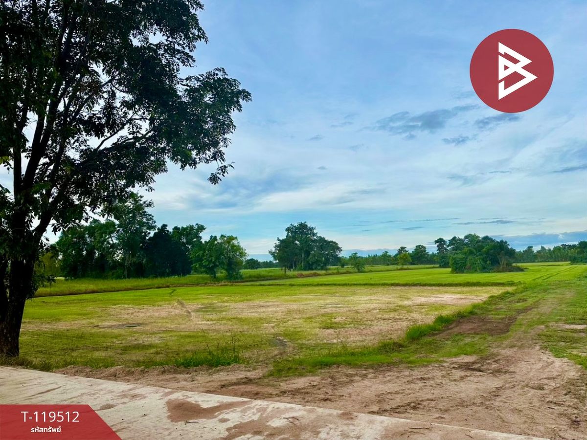 For SaleLandKamphaeng Phet : Land for sale in an area of ​​12 rai 63 sq.woralers, Kamphaeng Phet