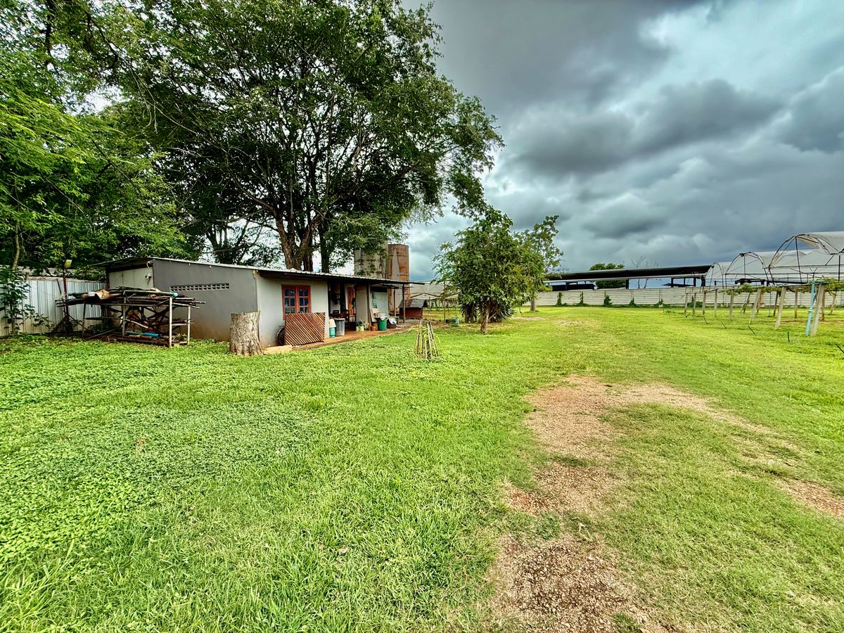 For SaleLandPak Chong KhaoYai : Land for sale with vineyard, rose garden, Klang Dong, along Mittraphap Road, 14 rai