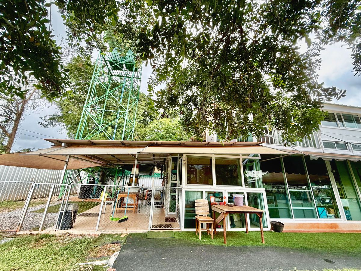 For SaleLandPak Chong KhaoYai : Land for sale with vineyard, rose garden, Klang Dong, along Mittraphap Road, 14 rai