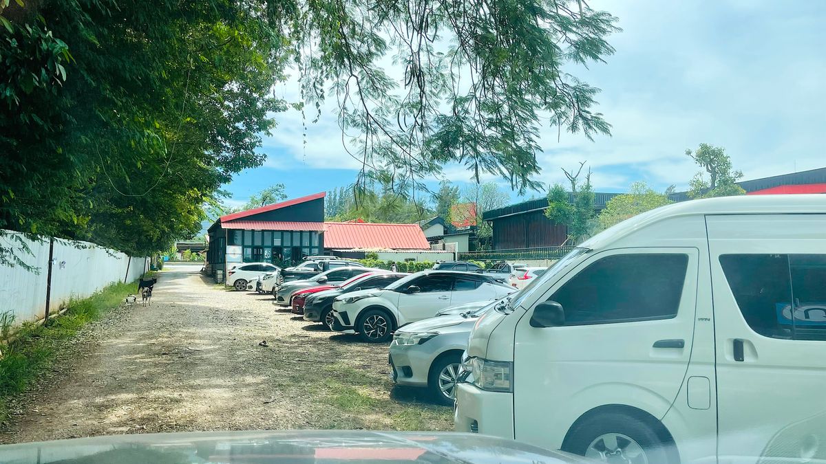 For SaleLandPak Chong KhaoYai : Land for sale with vineyard, rose garden, Klang Dong, along Mittraphap Road, 14 rai