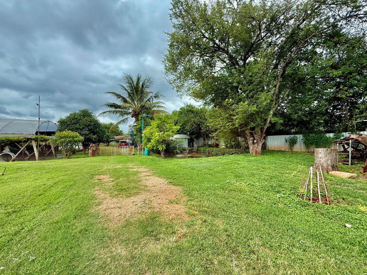 For SaleLandPak Chong KhaoYai : Land for sale with vineyard, rose garden, Klang Dong, along Mittraphap Road, 14 rai