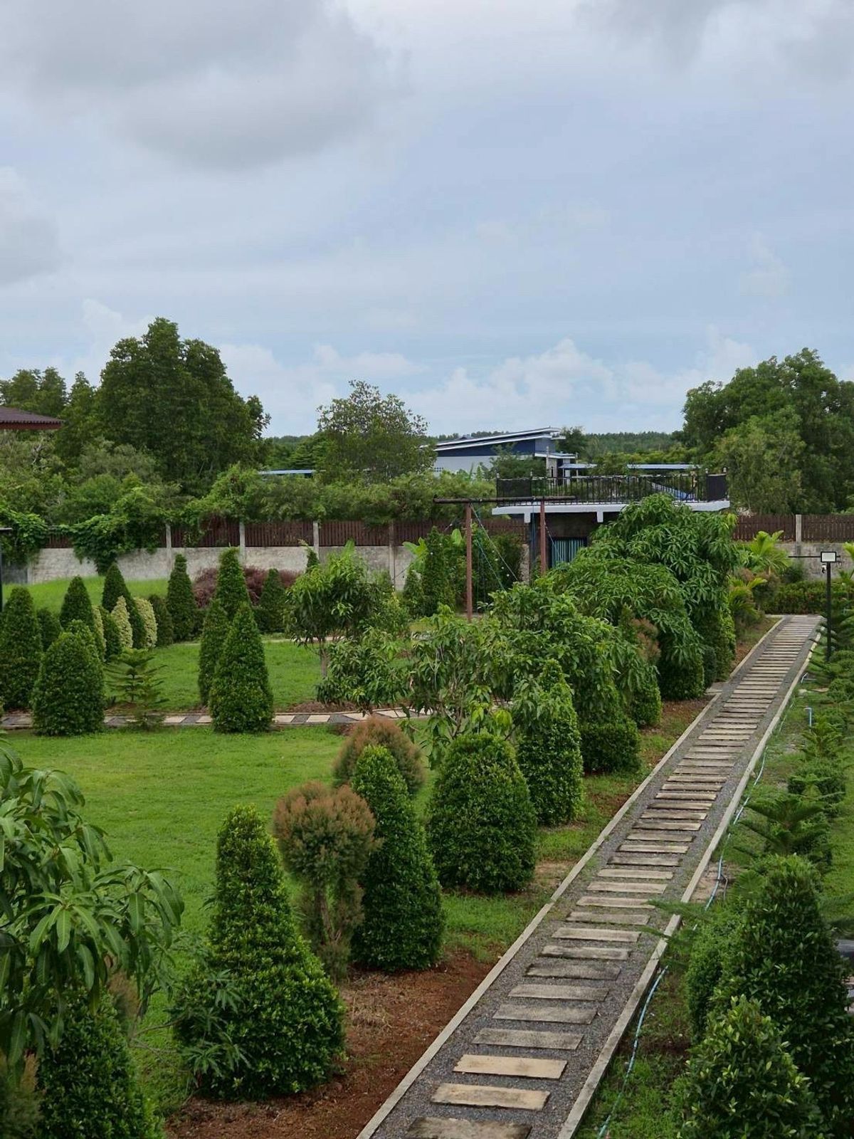 For SaleLandRayong : Urgent sale, land with resorts and large gardens, ready to make cafes near the market, good location, very good price !!!