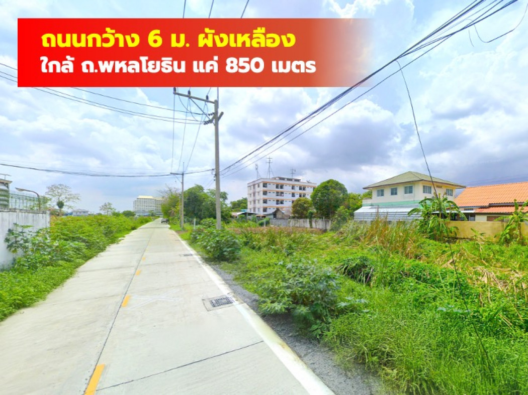ขายที่ดินปทุมธานี รังสิต ธรรมศาสตร์ : ขาย ที่ดิน คลองหลวง 8-6 ขนาด 354 ตรว ใกล้ ถ.พหลโยธิน แค่ 850 เมตร. DD