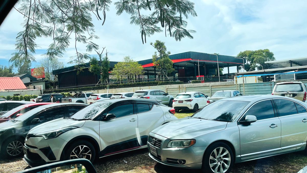 For SaleLandPak Chong KhaoYai : Land for sale with vineyard, rose garden, Klang Dong, along Mittraphap Road, 14 rai