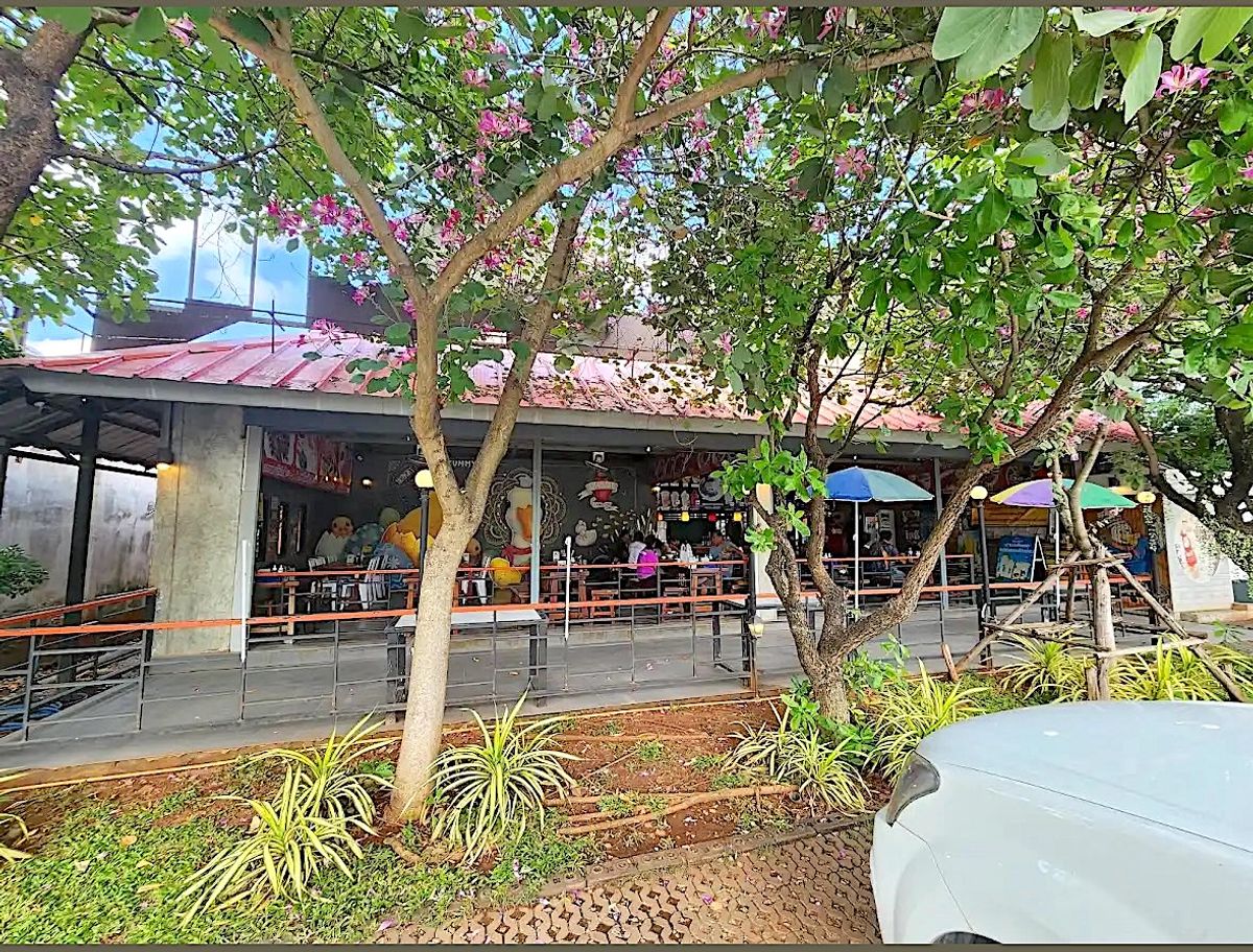 For SaleLandPak Chong KhaoYai : Land for sale with vineyard, rose garden, Klang Dong, along Mittraphap Road, 14 rai