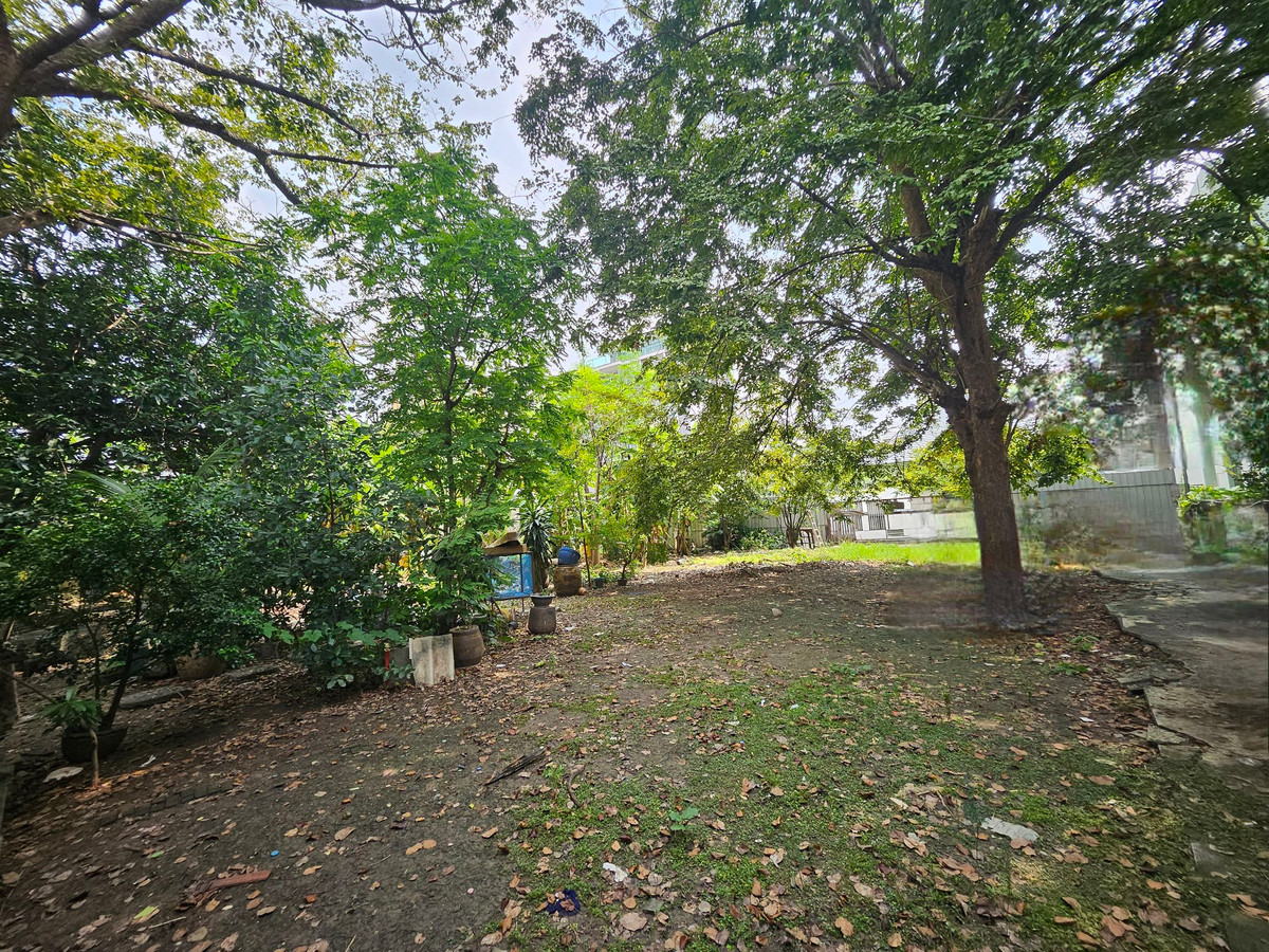 For SaleLandSukhumvit, Asoke, Thonglor : 🏡 Land for sale 1 Rai in the heart of Sukhumvit 54 | Walk to BTS Onnut | Beautiful plot | Prime location | Below market price!