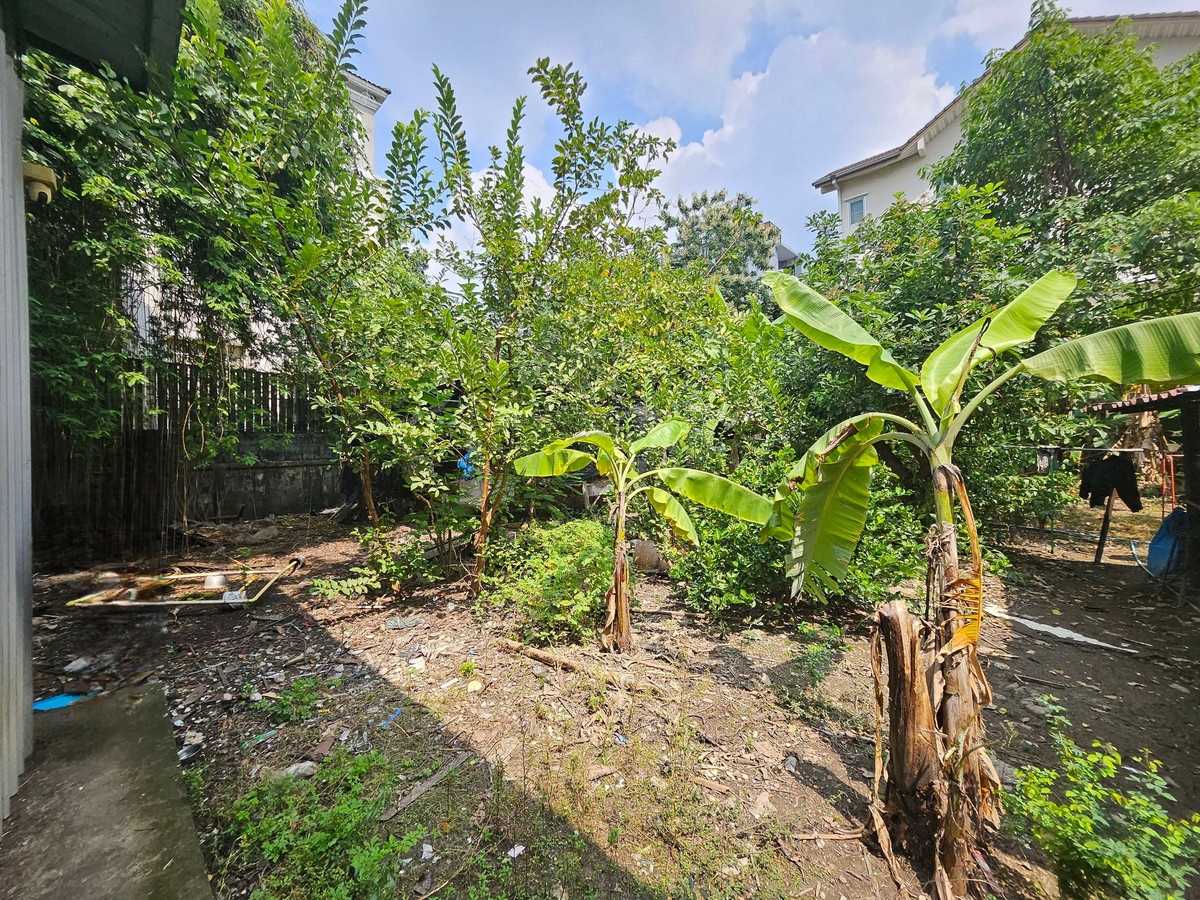 For SaleLandSukhumvit, Asoke, Thonglor : 🏡 Land for sale 1 Rai in the heart of Sukhumvit 54 | Walk to BTS Onnut | Beautiful plot | Prime location | Below market price!