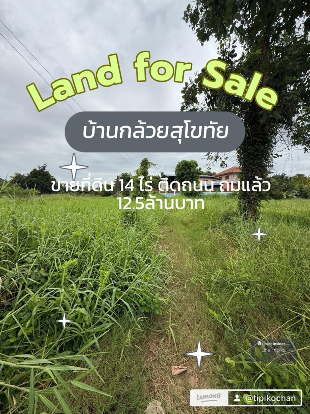 For SaleLandSukhothai : Land for sale at Ban Kluai Sukhothai 14 Rai, next to road 5 min to Big C