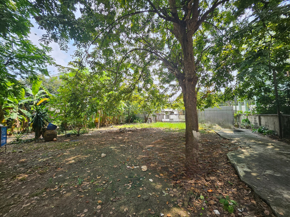 For SaleLandSukhumvit, Asoke, Thonglor : 🏡 Land for sale 1 Rai in the heart of Sukhumvit 54 | Walk to BTS Onnut | Beautiful plot | Prime location | Below market price!