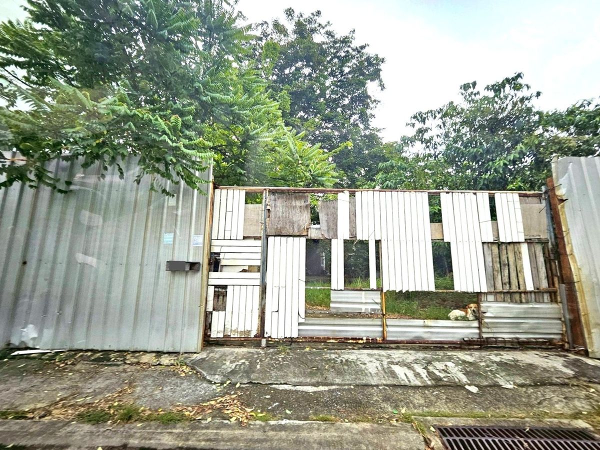 For SaleLandSukhumvit, Asoke, Thonglor : 🏡 Land for sale 1 Rai in the heart of Sukhumvit 54 | Walk to BTS Onnut | Beautiful plot | Prime location | Below market price!