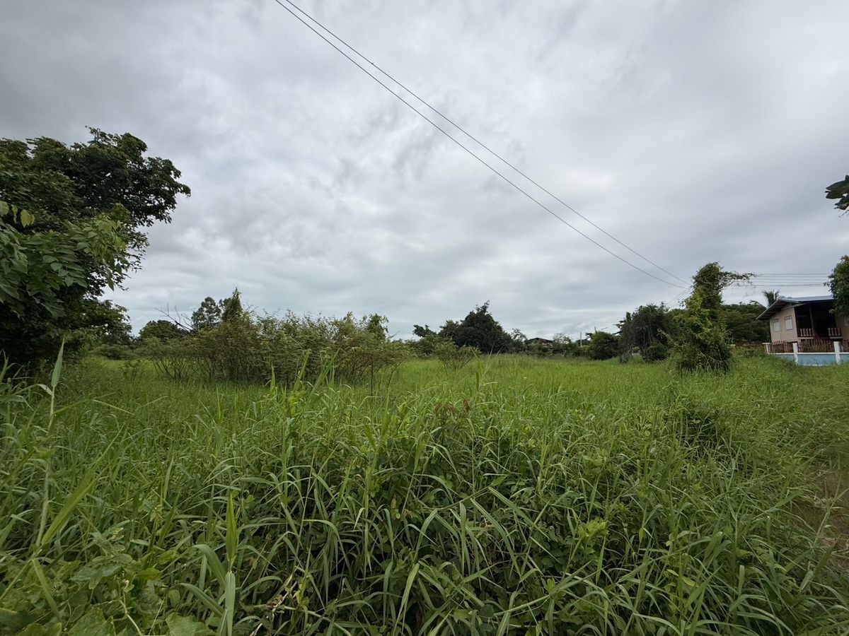 ขายที่ดินสุโขทัย : ขายที่ดิน บ้านกล้วย สุโขทัย 14 ไร่ ติดถนน ที่ดินถมแล้ว น้ำ - ไฟ เข้าถึง ห่างบิ๊กซี 5 นาที