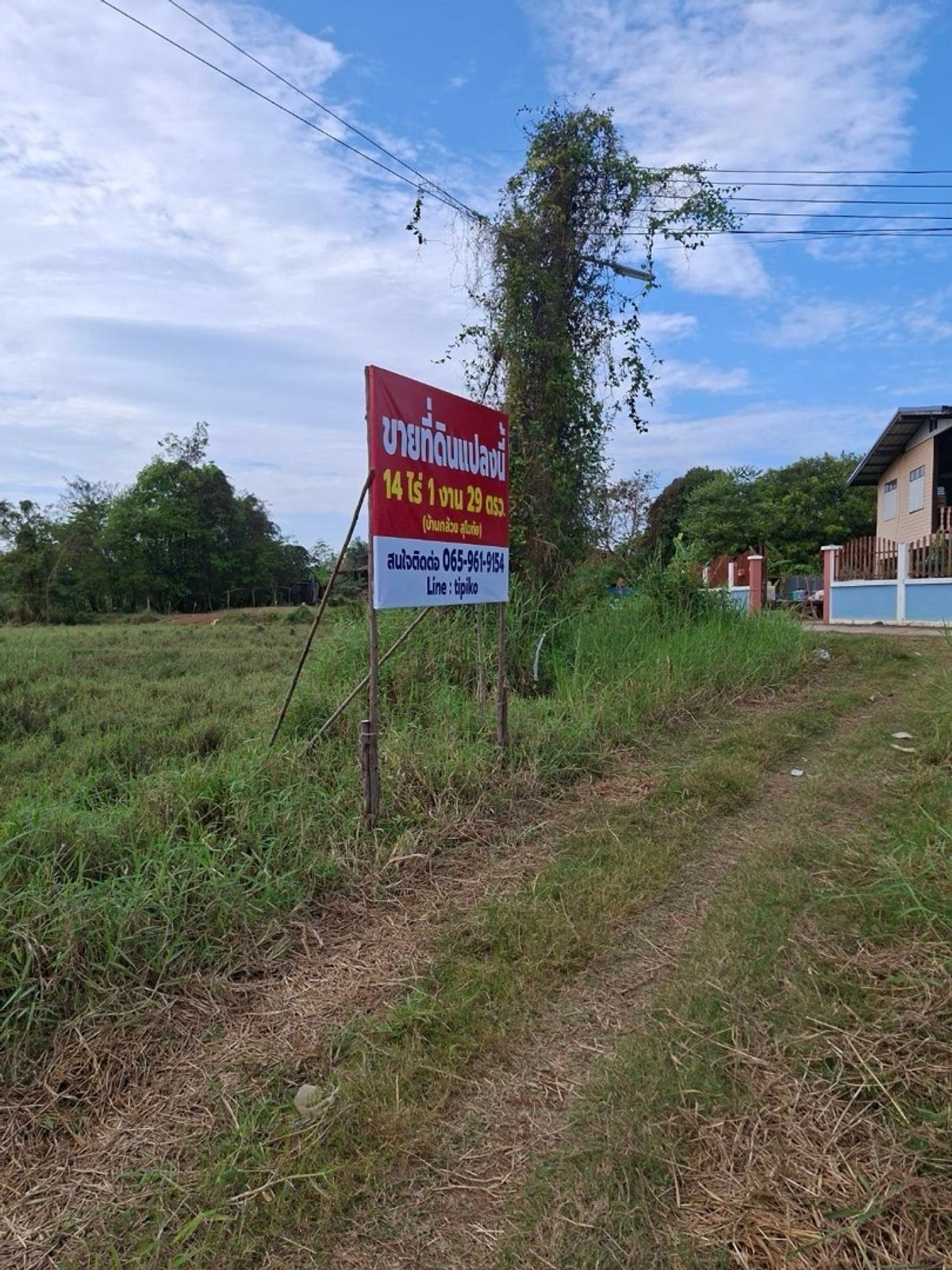 ขายที่ดินสุโขทัย : ขายที่ดิน บ้านกล้วย สุโขทัย 14 ไร่ ติดถนน ที่ดินถมแล้ว น้ำ - ไฟ เข้าถึง ห่างบิ๊กซี 5 นาที