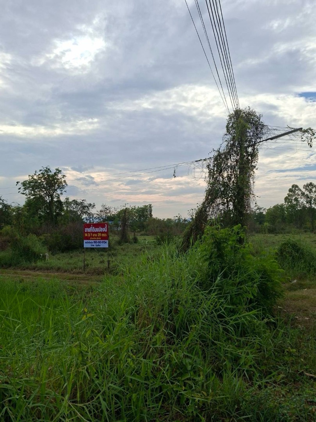 ขายที่ดินสุโขทัย : ขายที่ดิน บ้านกล้วย สุโขทัย 14 ไร่ ติดถนน ที่ดินถมแล้ว น้ำ - ไฟ เข้าถึง ห่างบิ๊กซี 5 นาที