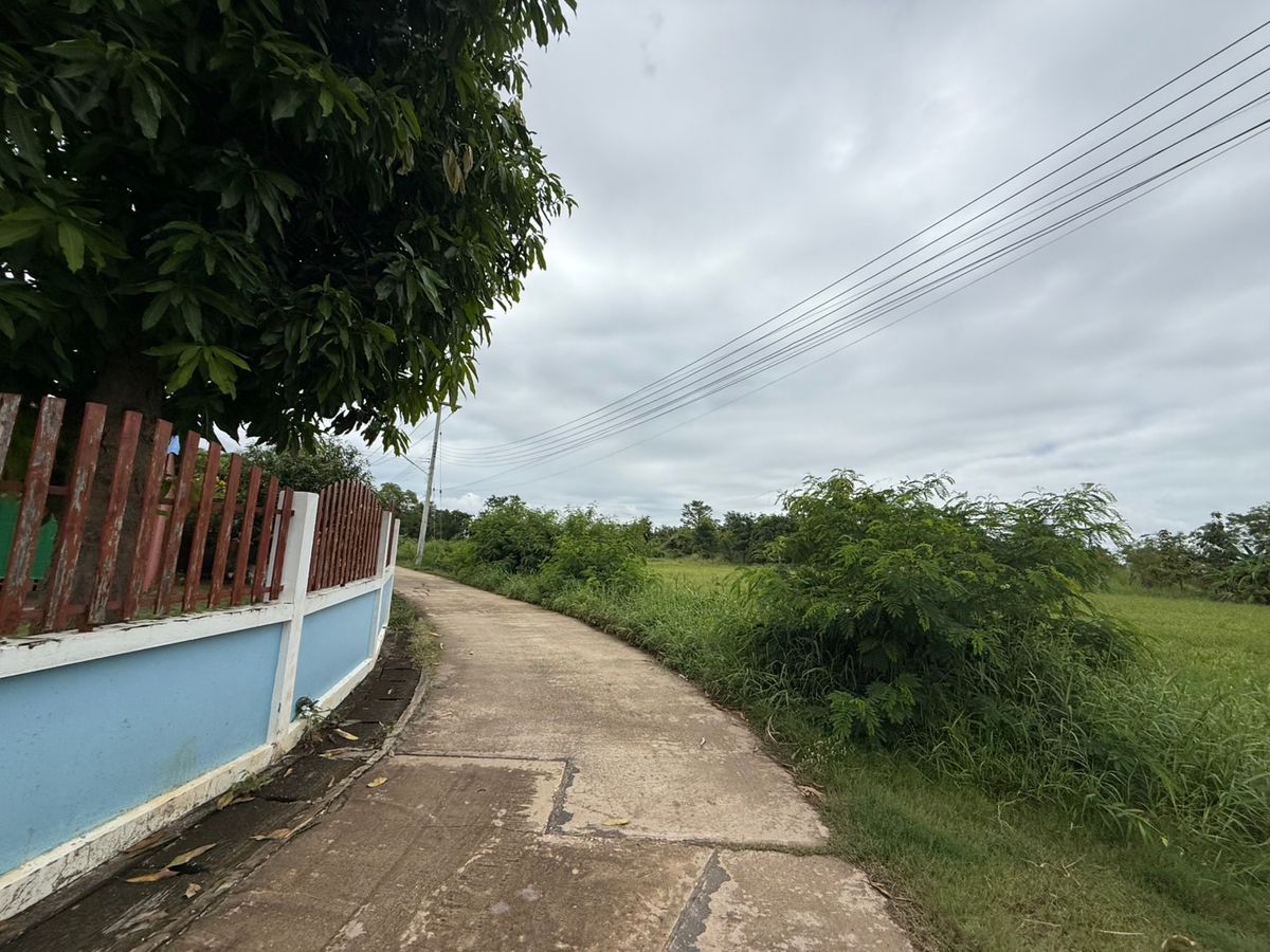 ขายที่ดินสุโขทัย : ขายที่ดิน บ้านกล้วย สุโขทัย 14 ไร่ ติดถนน ที่ดินถมแล้ว น้ำ - ไฟ เข้าถึง ห่างบิ๊กซี 5 นาที