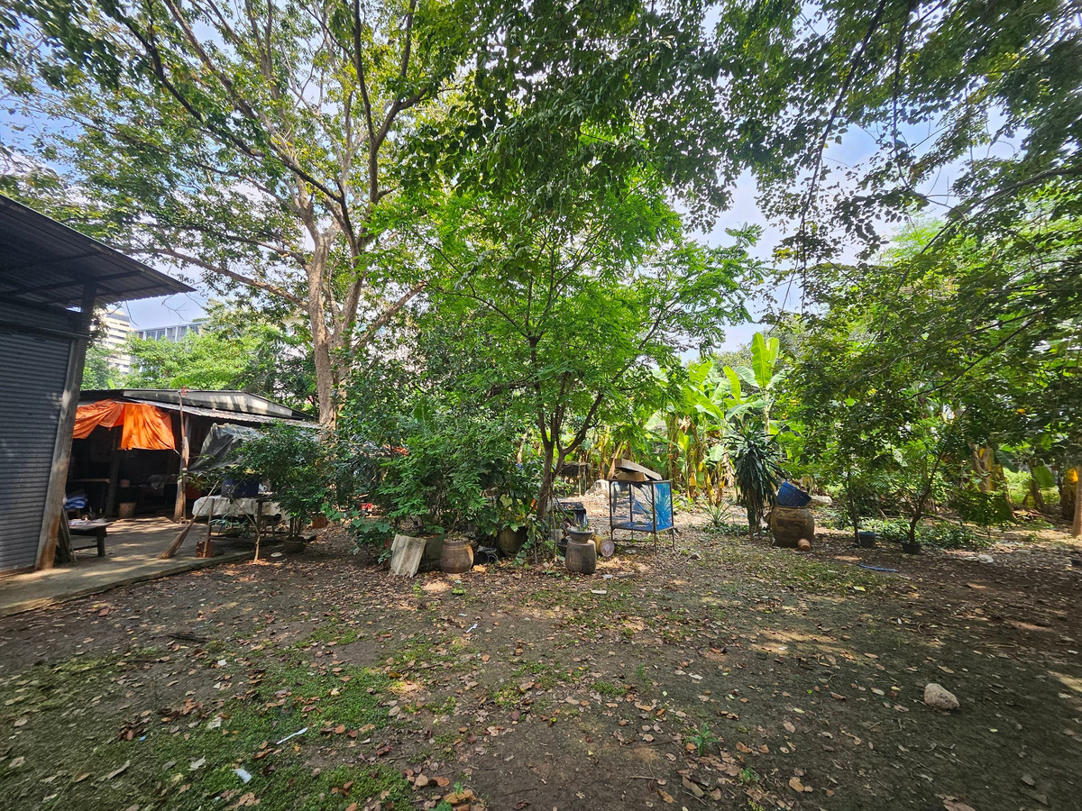 For SaleLandSukhumvit, Asoke, Thonglor : 🏡 Land for sale 1 Rai in the heart of Sukhumvit 54 | Walk to BTS Onnut | Beautiful plot | Prime location | Below market price!