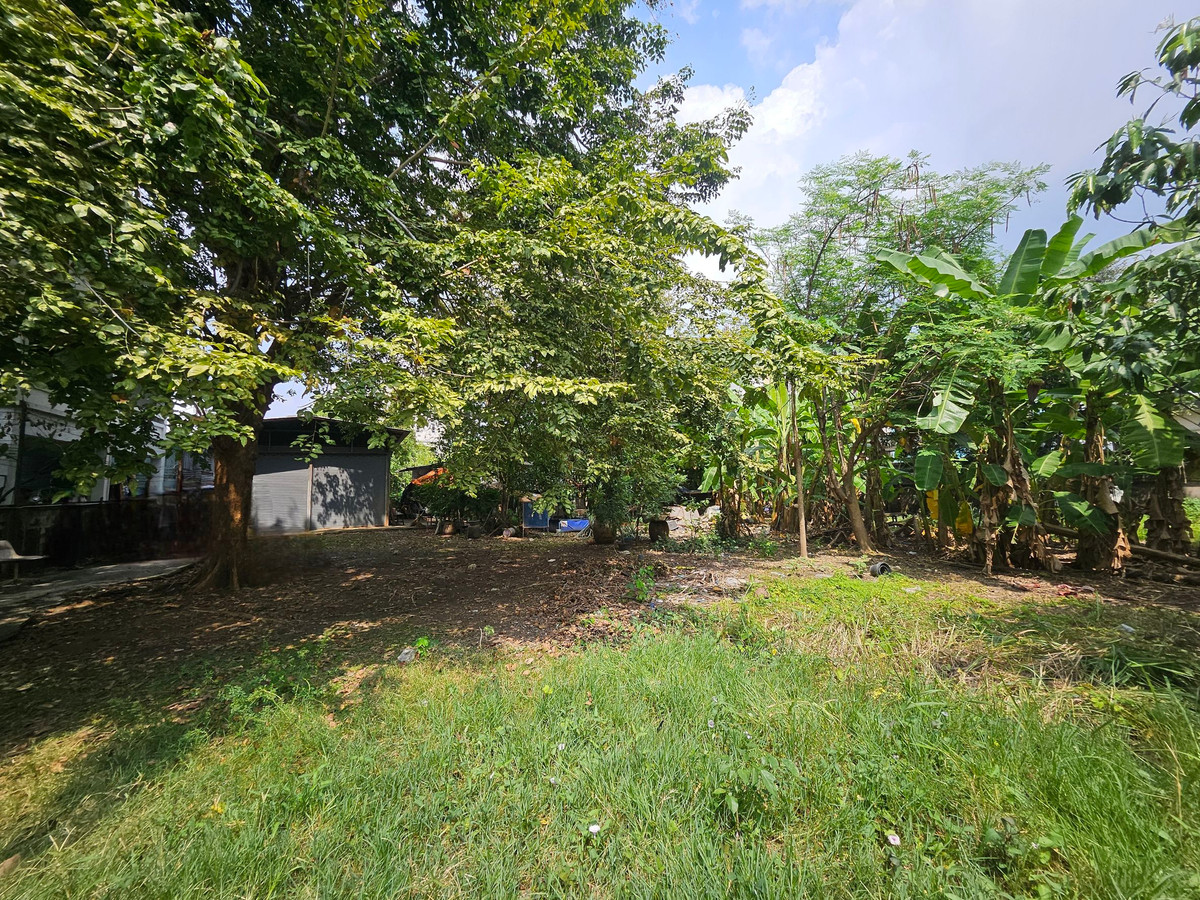 For SaleLandSukhumvit, Asoke, Thonglor : 🏡 Land for sale 1 Rai in the heart of Sukhumvit 54 | Walk to BTS Onnut | Beautiful plot | Prime location | Below market price!