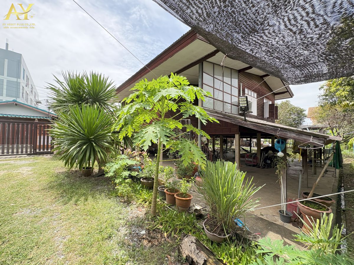 ขายที่ดินเกษตรศาสตร์ รัชโยธิน : 💥ขายด่วน!!! ที่ดิน 146 ตรว.  แถม บ้านไม้ตามสภาพ 1 หลัง เสนานิคม 1 ซอย 25 แยก 6 - 1   เข้าซอยเพียง 120 เมตร  ราคาเพียง  8,760,000 บาท ( ตรว.ละ  60,000 บาท)💥