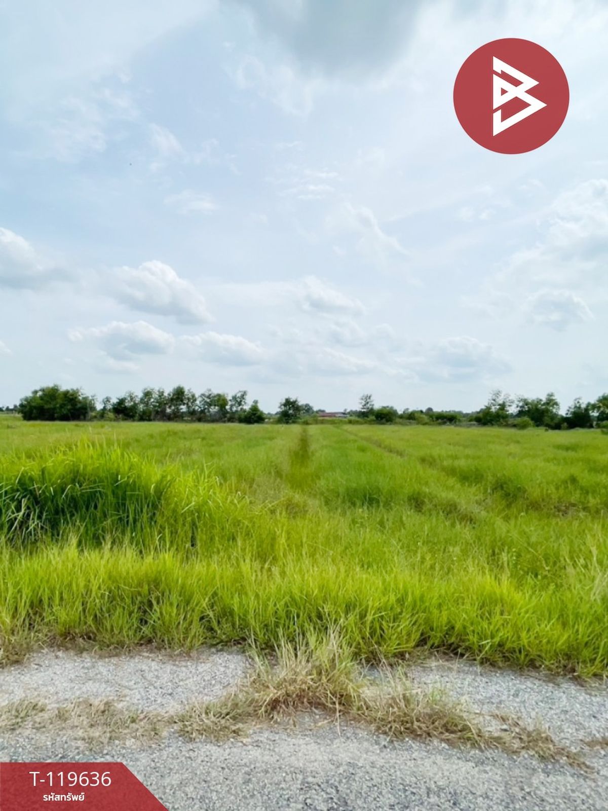 For SaleLandNakhon Nayok : Land for sale in an area of ​​1 rai, Angkharak, Nakhon Nayok