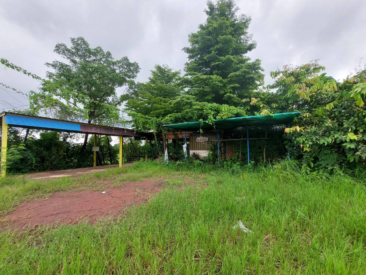 ขายบ้านหนองคาย : JK2 5912658 : นอกโครงการหนองคาย