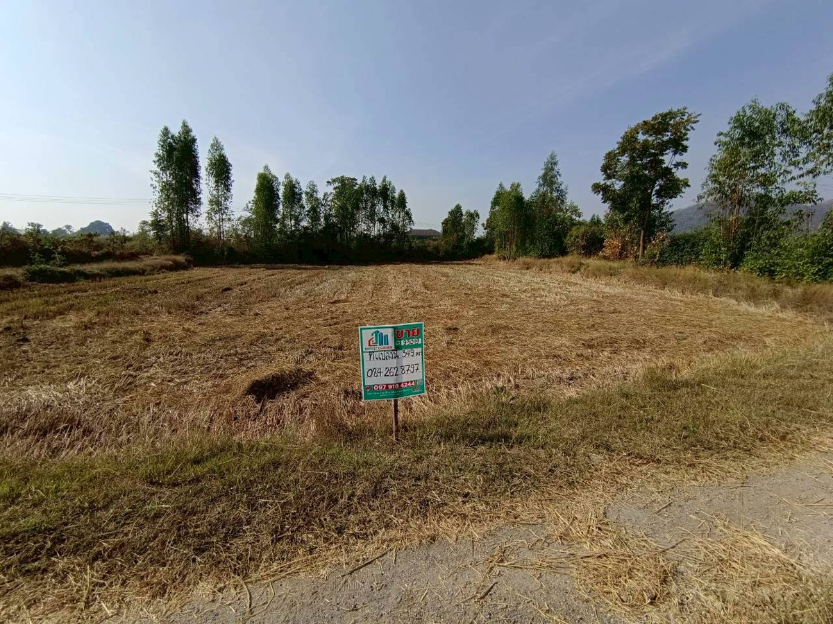 For SaleLandKanchanaburi : Land for sale, area 349 sq.w., outstanding features near the community Khao Sung Jam Fah Temple, Tham Suea Temple, surrounded by nature and tourist attractions Next to the public road-fire