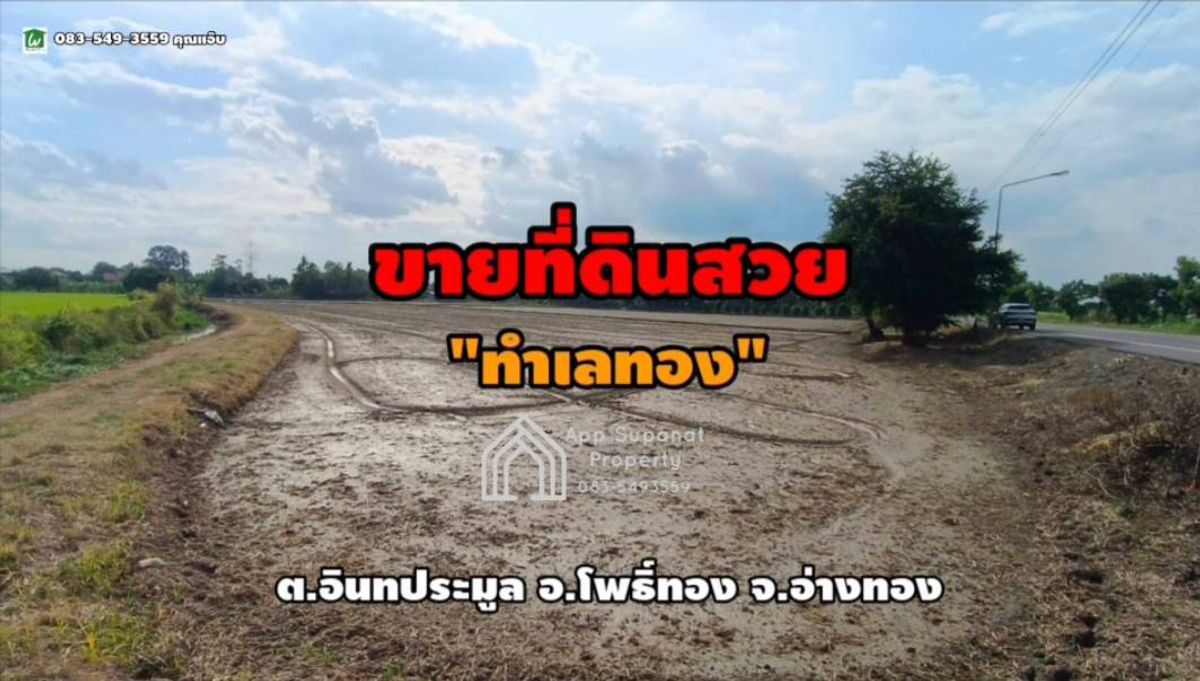 ขายที่ดินอ่างทอง : ขายที่ดิน 5 ไร่ ถ.สายลำท่าแดง ต.อินทประมูล อ.โพธิ์ทอง จ.อ่างทอง