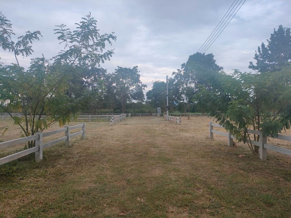 For SaleLandPak Chong KhaoYai : Land for sale 1 rai 2 Pong Tanong Pak Chong Khao Yai