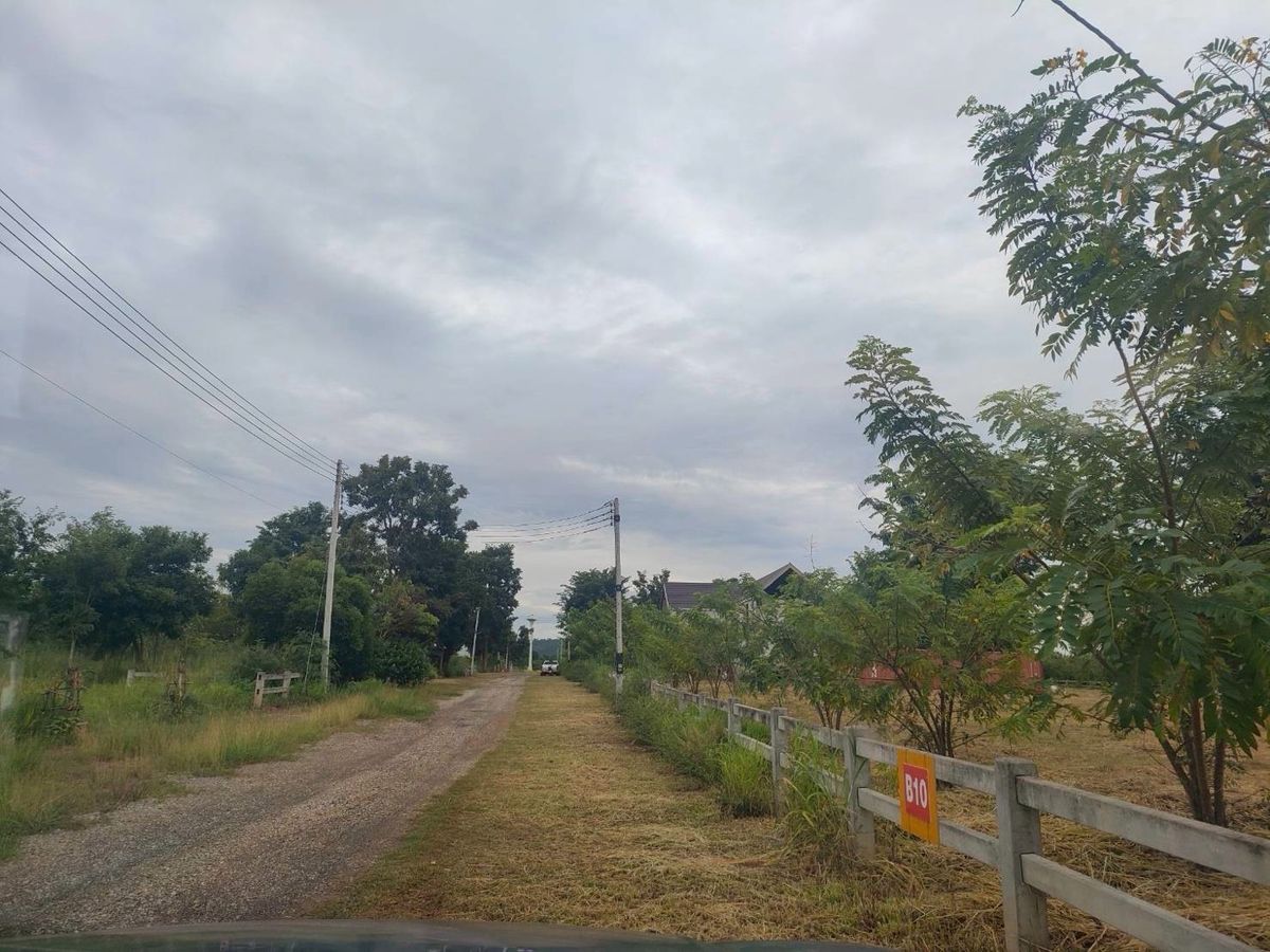 For SaleLandPak Chong KhaoYai : Land for sale 1 rai 2 Pong Tanong Pak Chong Khao Yai