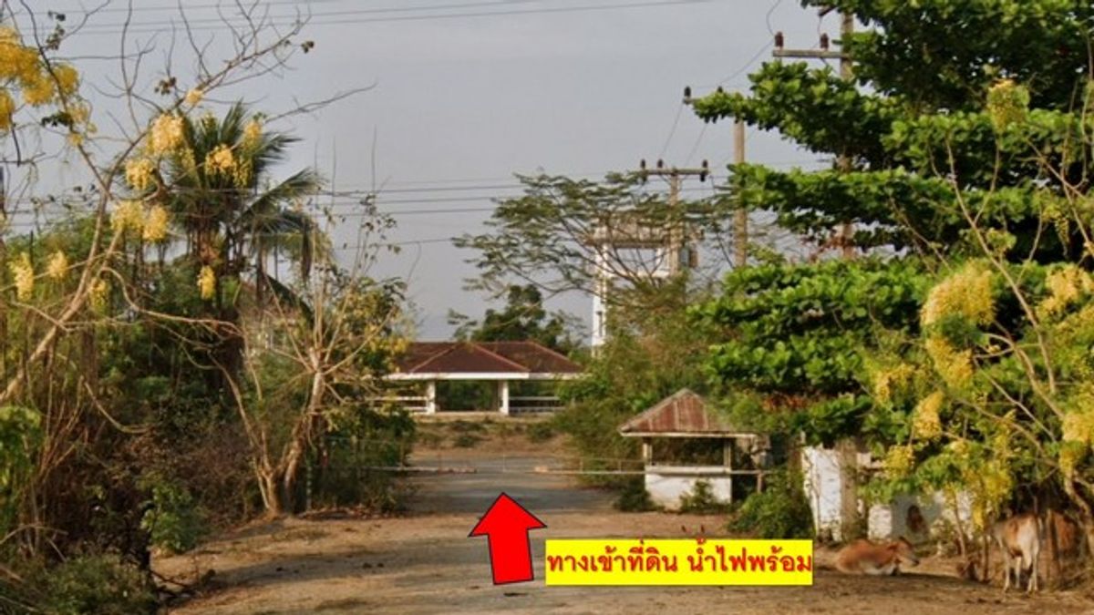ขายที่ดินชะอำ เพชรบุรี : ขายที่ดิน 1 ไร่ 24 ตร.ว. ต.ต้นมะพร้าว อ.เมืองเพชรบุรี 🌿 ทำเลดี ใกล้ถนนเพชรเกษม และอุทยานแห่งชาติแก่งกระจาน
