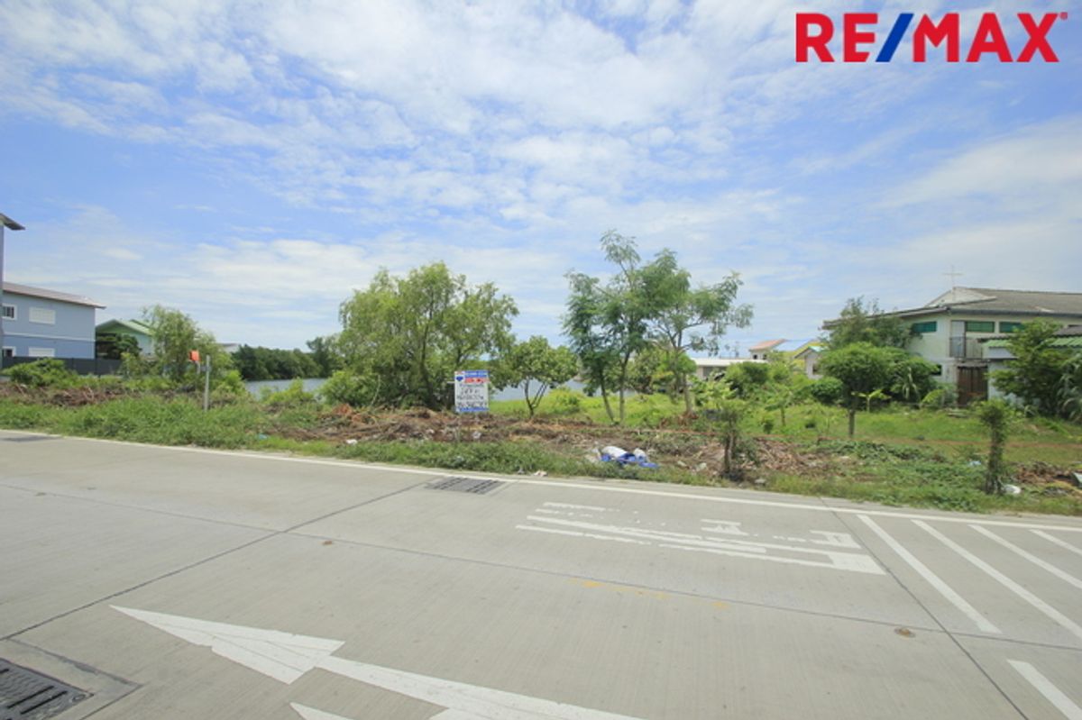 ขายที่ดินราษฎร์บูรณะ สุขสวัสดิ์ : ที่ดินประชาอุทิศ90 จัดสรรตาเบิ้ม ถนนเมน 207ตารางวา สร้างบ้าน ทำธุรกิจได้ ใกล้โรงเรียนสารสาสน์วิเทศ ทางด่วนสุขสวัสดิ์ บางพลี ราคาถูก  