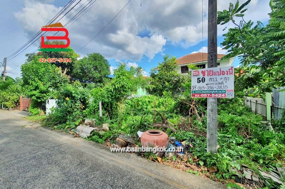 For SaleLandPathum Thani,Rangsit, Thammasat : Empty land, area 50 sq.w., Soi Army 2, Lam Luk Ka Road, Khu Khot Subdistrict, Lam Luk Ka District, Pathum Thani Province