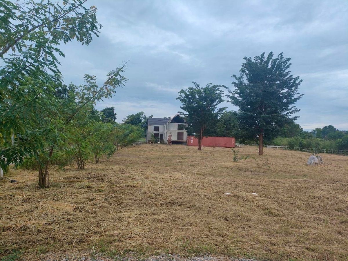 For SaleLandPak Chong KhaoYai : Land for sale 1 rai 2 Pong Tanong Pak Chong Khao Yai