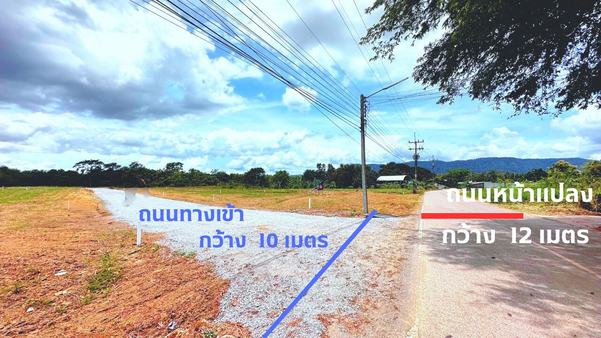 For SaleLandPak Chong KhaoYai : Red Garuda Land & Quot; Thonglor Khao Yai & quot; Premium atmosphere potential • Golden location & quot; Pork -colored pork & quot; • ✨ High investment potential: This zone price has risen up to 9-15% per year.