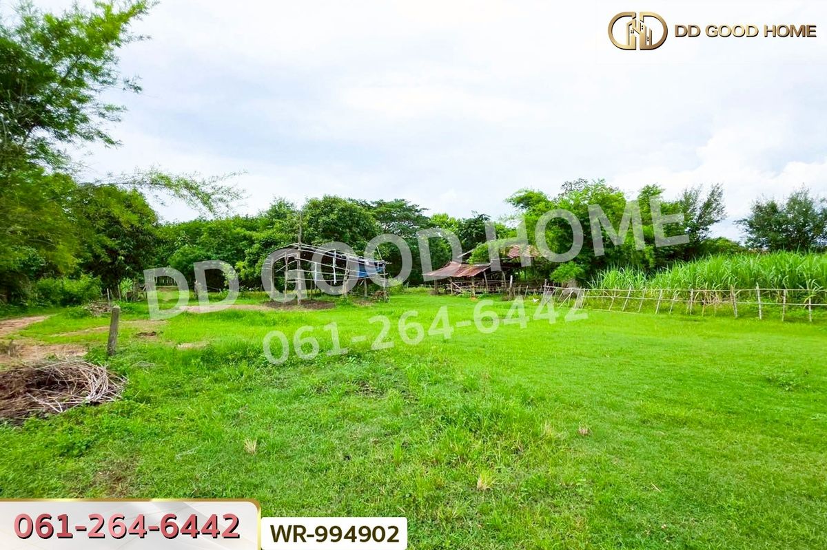 ขายที่ดินหนองคาย : WR-994902 ที่ดินพระธาตุบังพวน 24 ไร่ 321 ตร.ว. หนองคาย ใกล้พระธาตุบังพวน