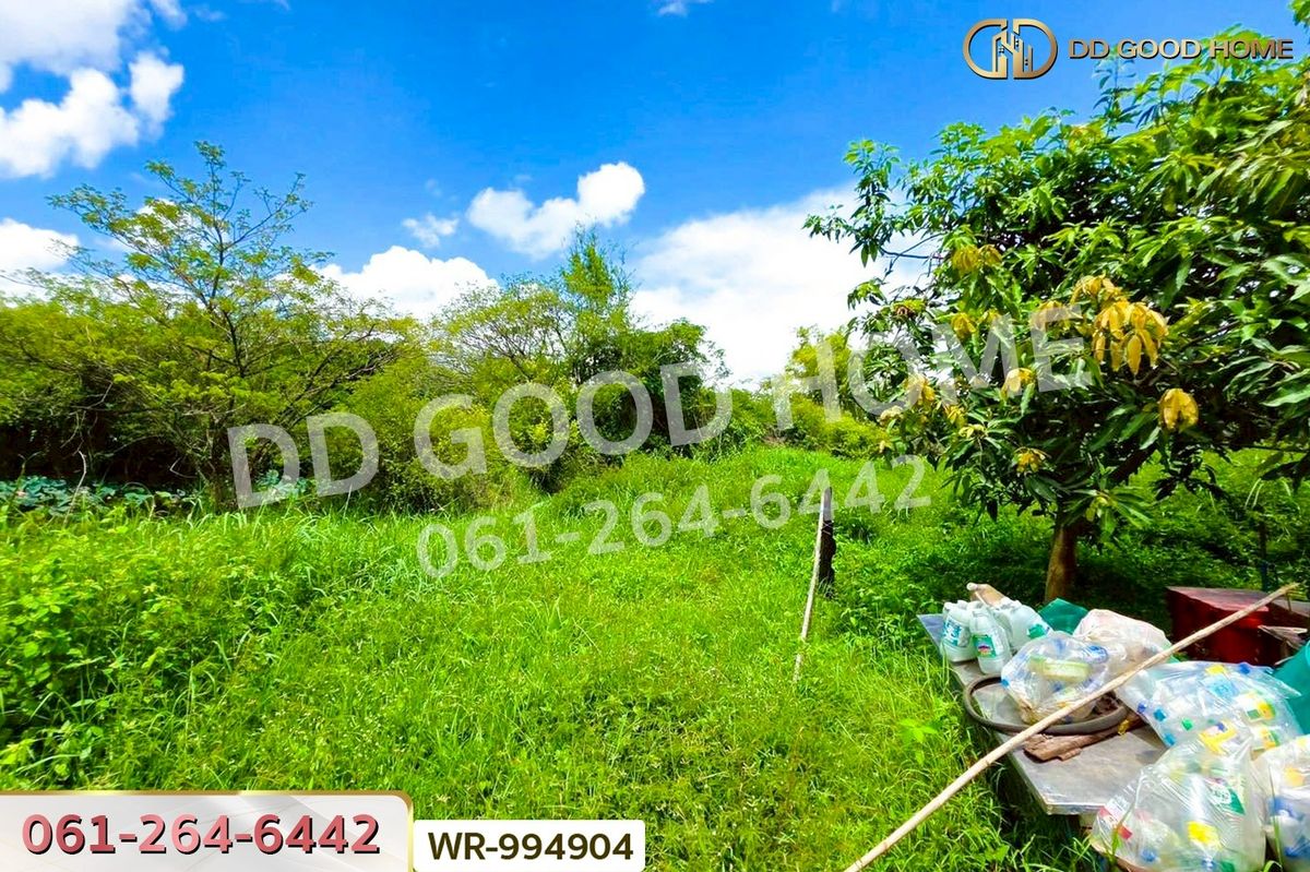 ขายที่ดินหนองคาย : WR-994904 ที่ดินมีชัย 190.4 ตร.ว. หนองคาย ใกล้สะพานมิตรภาพไทย-ลาว แห่งที่ 1 (หนองคาย–เวียงจันทน์)