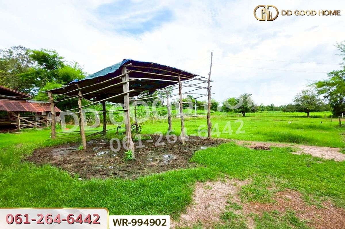 ขายที่ดินหนองคาย : WR-994902 ที่ดินพระธาตุบังพวน 24 ไร่ 321 ตร.ว. หนองคาย ใกล้พระธาตุบังพวน