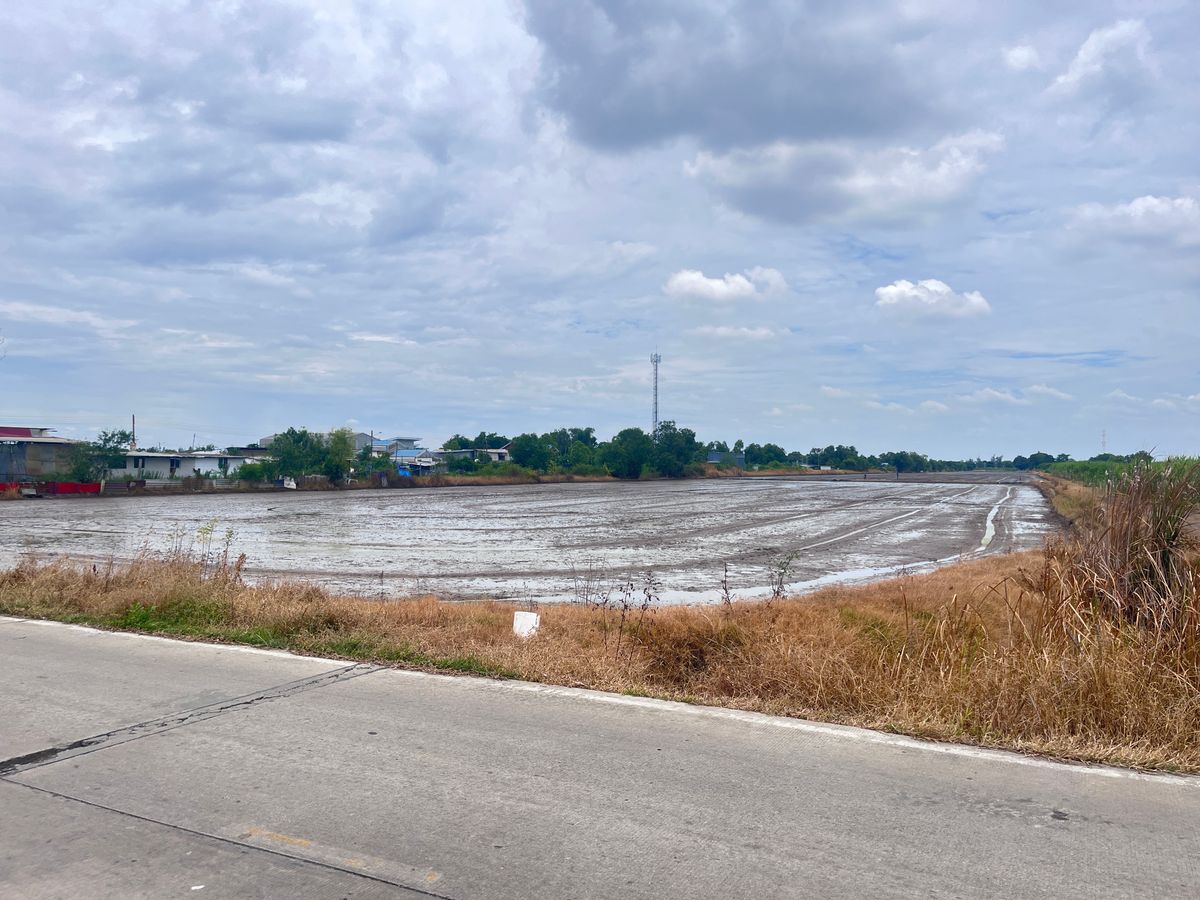 For SaleLandPathum Thani,Rangsit, Thammasat : sss511 Land for sale in Khlong 3, Khlong Luang, 52 rai, 100 meters from the motorway.