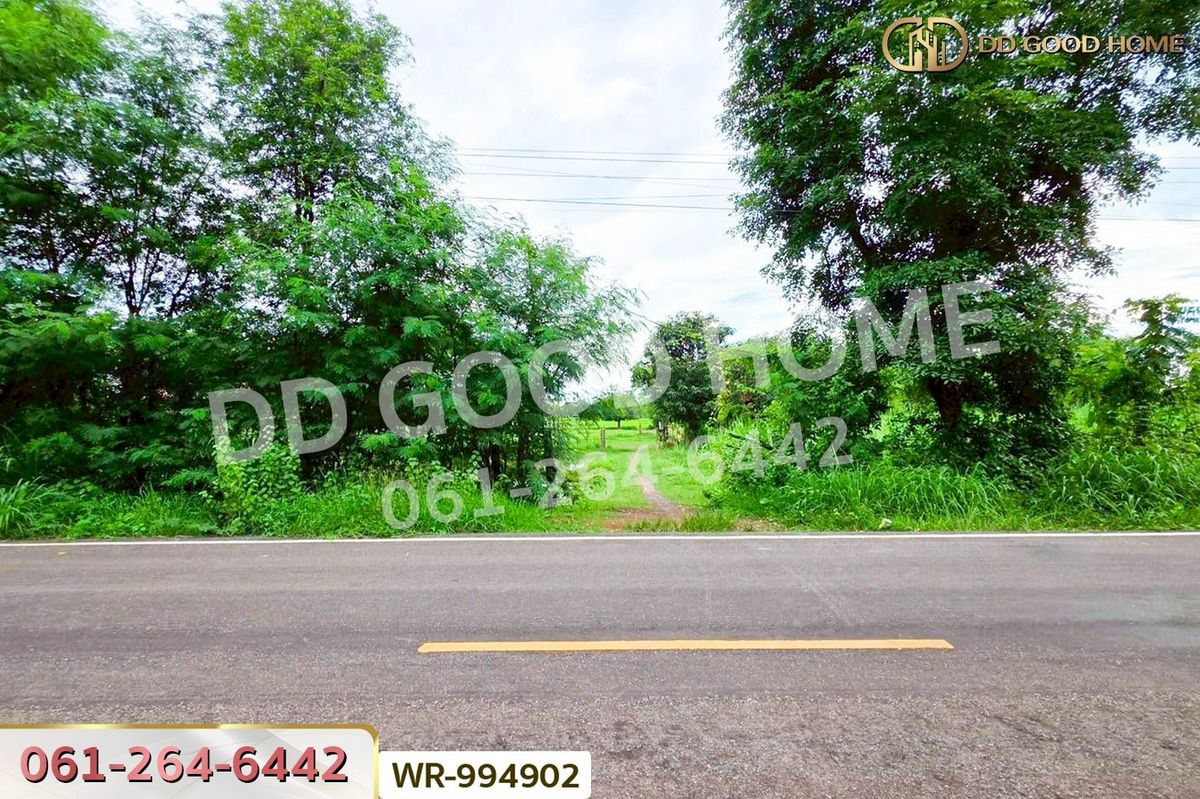 ขายที่ดินหนองคาย : WR-994902 ที่ดินพระธาตุบังพวน 24 ไร่ 321 ตร.ว. หนองคาย ใกล้พระธาตุบังพวน