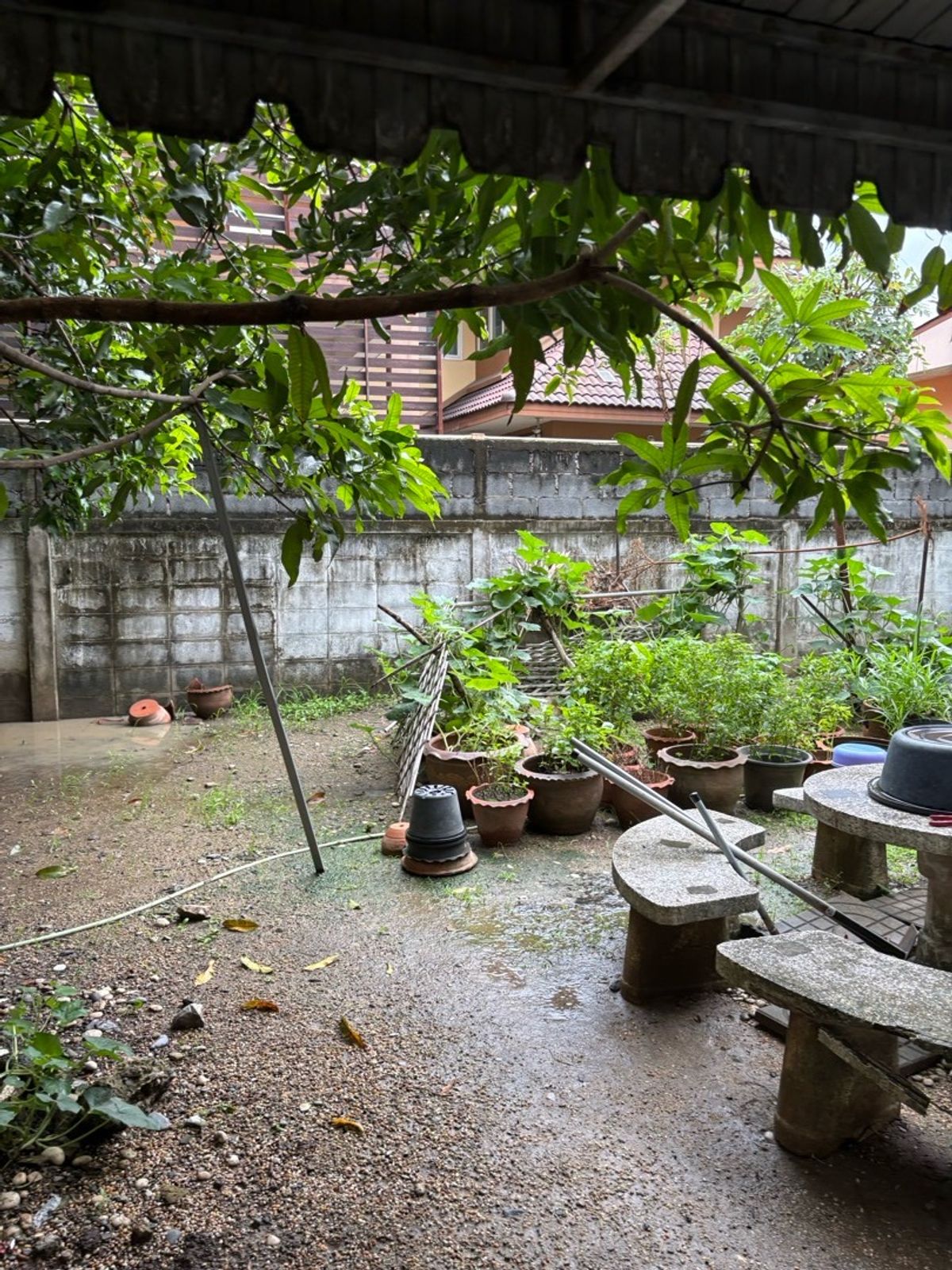 ขายที่ดินนวมินทร์ รามอินทรา : 🏡 ขายที่ดิน 132 ตรว. พร้อมบ้านเดี่ยวทรงไทย ใจกลางลาดปลาเค้า!  ติดรถไฟฟ้าสถานีลาดปลาเค้าเพียง 200 เมตร เดินทางง่าย ทำเลทองหายาก!