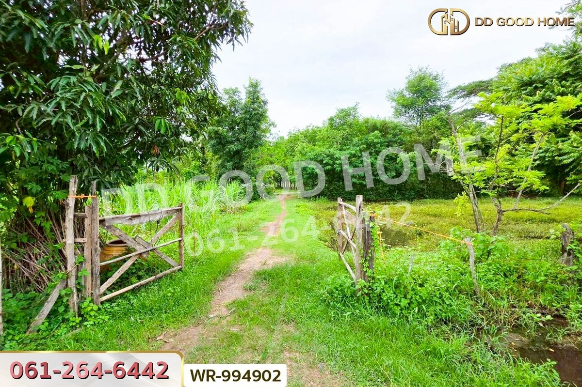 ขายที่ดินหนองคาย : WR-994902 ที่ดินพระธาตุบังพวน 24 ไร่ 321 ตร.ว. หนองคาย ใกล้พระธาตุบังพวน