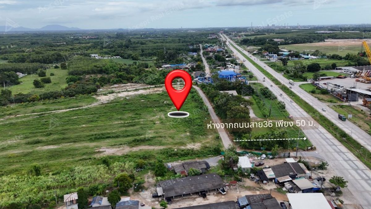 ขายที่ดินระยอง : ที่ดินทำเลทองใกล้ถนนสาย36 นิคมพัฒนา ระยอง 41-3-2.1 ไร่