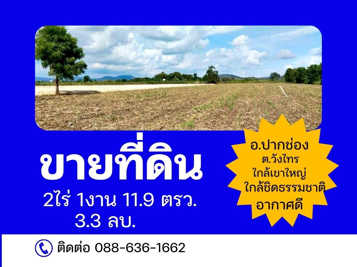 ขายที่ดินปากช่อง เขาใหญ่ : ที่ดินใกล้ธรรมชาติ  ซับหวาย ต.วังไทร ปากช่อง เขาใหญ่  นครราชสีมา  