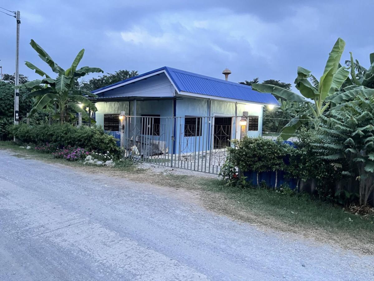 For SaleHousePhutthamonthon, Salaya : For Sale  House with land, area 1 rai , Khlong Nok Krathung , Bang Len , Nakhon Pathom , CX-129085