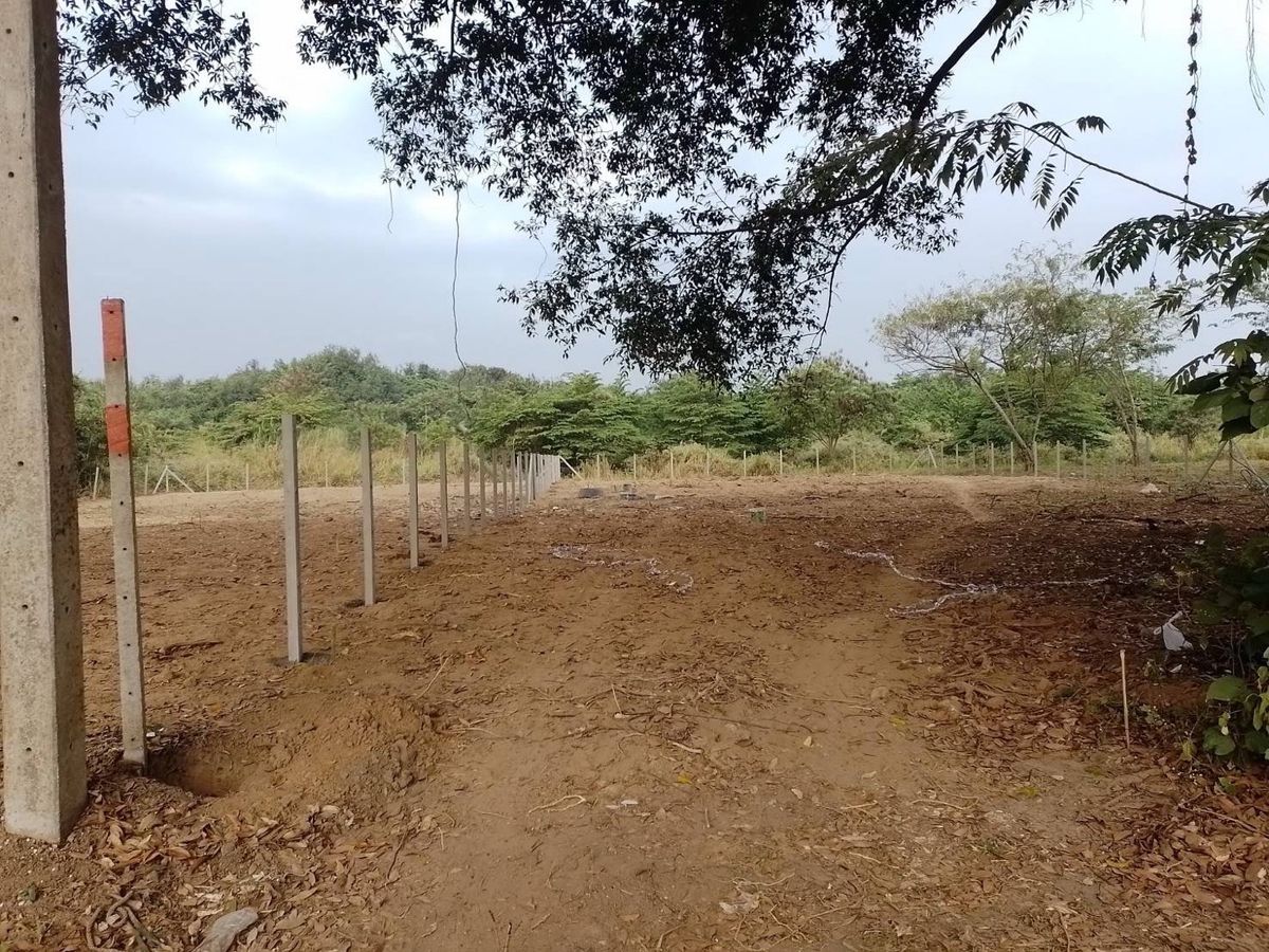 For SaleLandChiang Mai : Land for sale 233 sq.m. Don Kaew Subdistrict, Mae Rim District, Chiang Mai Province (No flood)