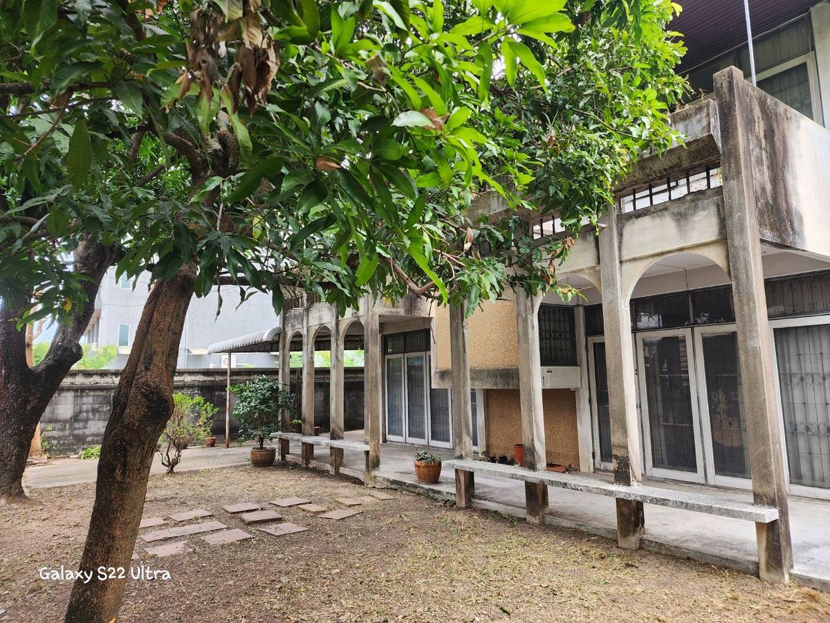 ขายบ้านวิภาวดี ดอนเมือง หลักสี่ : บ้านเดี่ยวราคาคุ้มมาก เนื้อที่กว้าง เดินทางสะดวก ใกล้ดอนเมือง 