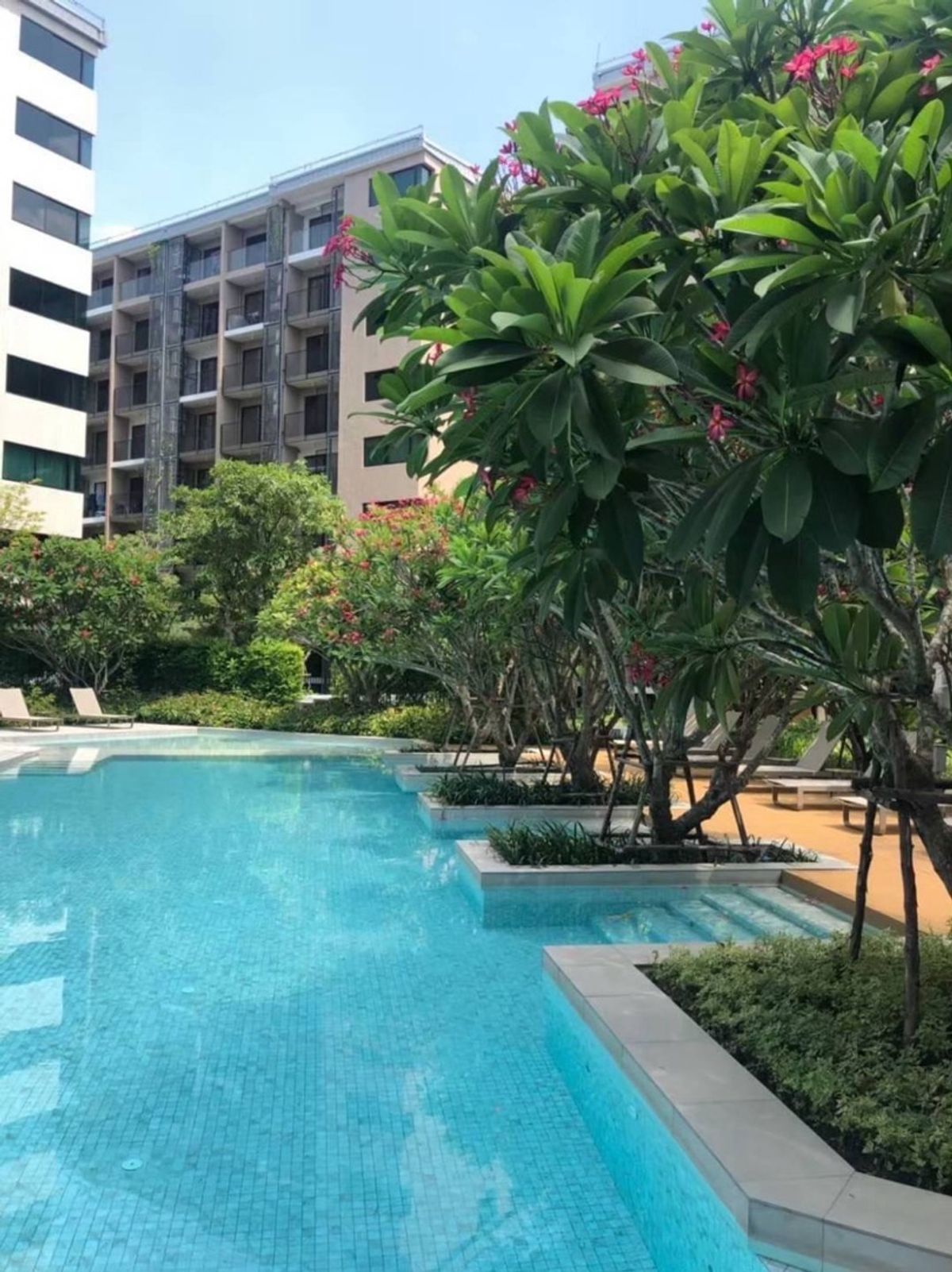 ให้เช่าคอนโดสาทร นราธิวาส : ให้เช่าคอนโดบลอสซั่ม สาทร เจริญราษฏ์
Duplex 2 ชั้น 48 ตรม  ว่าง 16 ก.ย 68 ค่ะ 