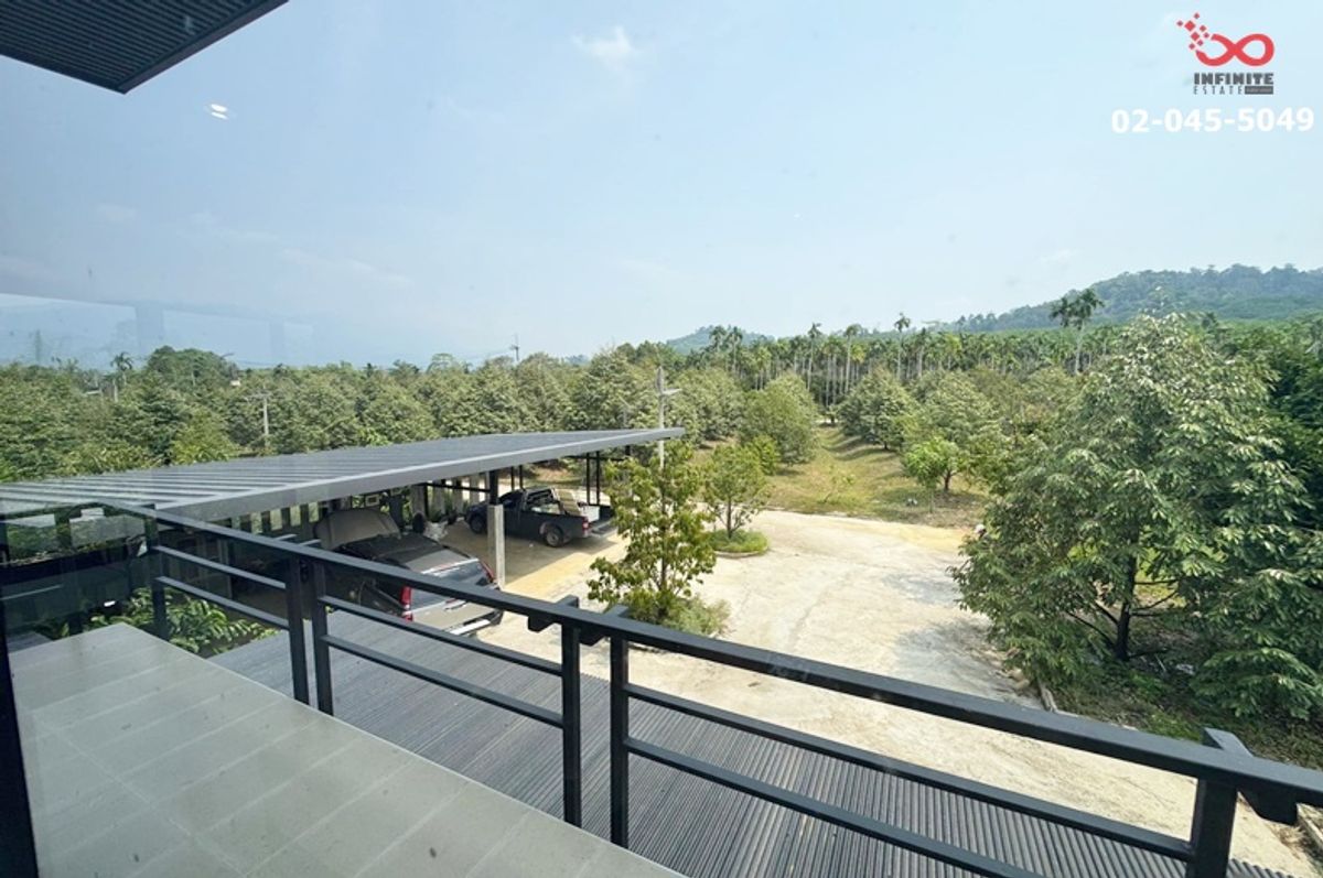 ขายที่ดินจันทบุรี : ขายที่ดิน สวนทุเรียน 22 ไร่ อำเภอมะขาม จันทบุรี เก็บผลผลิตได้ทันที 