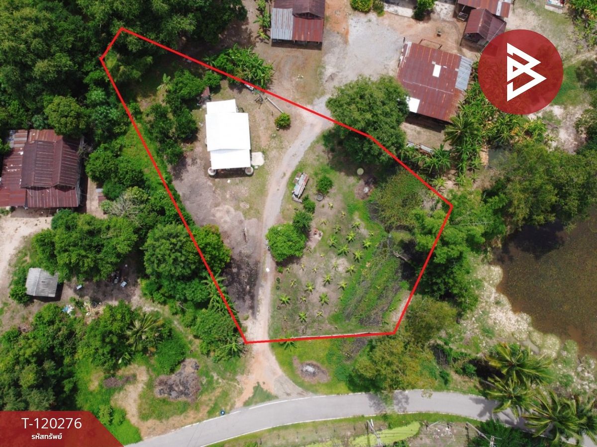 For SaleLandChai Nat : Land for sale in an area of ​​1 rai 1 ngan 86 sq.wah, Wat Sing Chainat