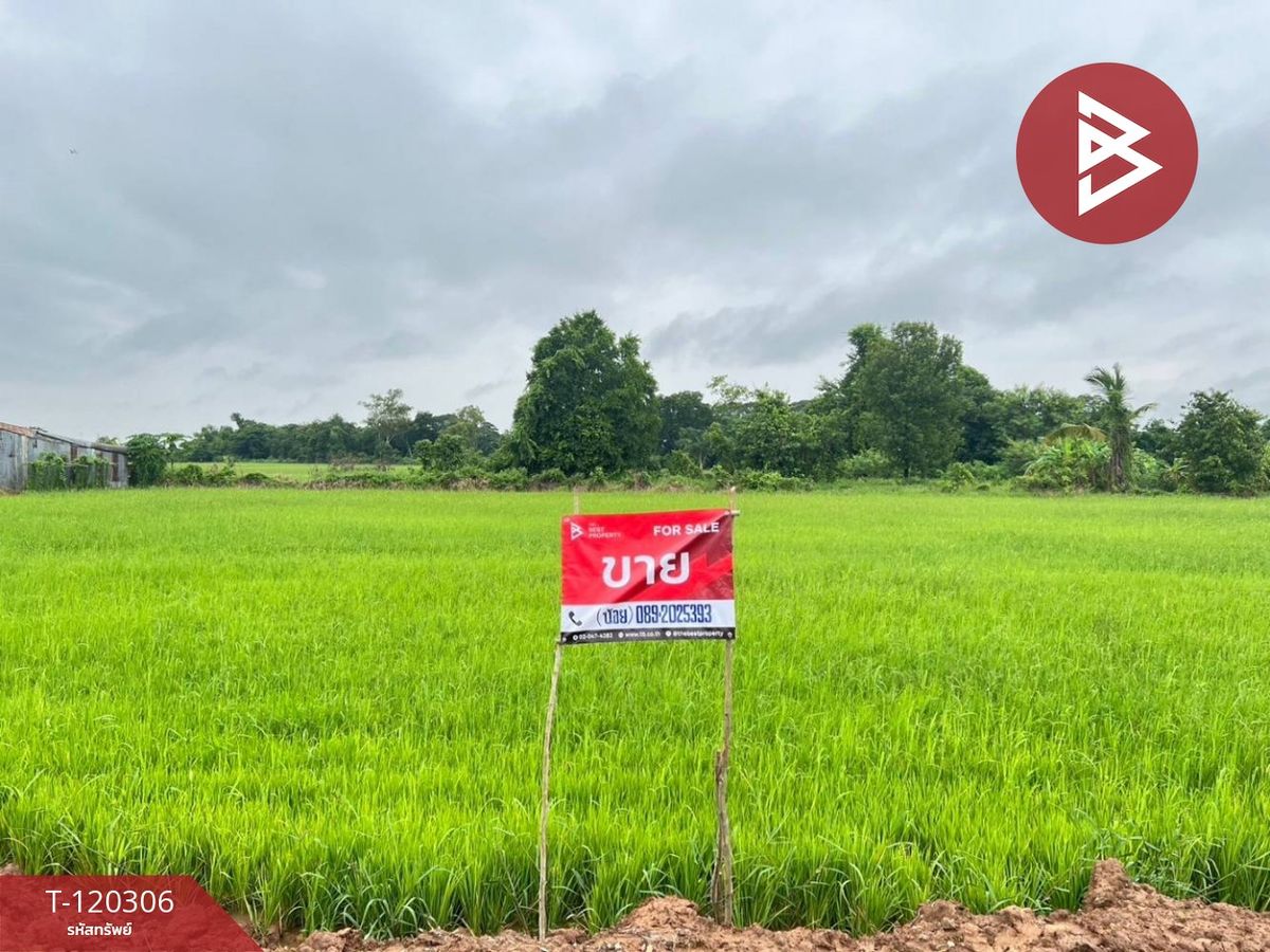 For SaleLandPhitsanulok : Land for sale in an area of ​​1 rai, Tha Pho, Phitsanulok