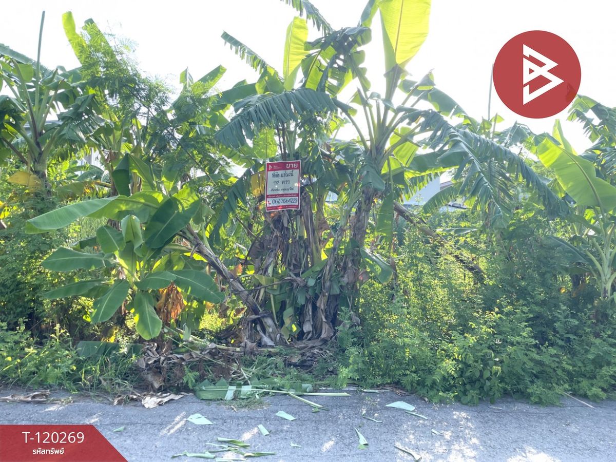 For SaleLandNakhon Pathom : Land for sale, Salaya 5/8 Road, 92 sq.w., Phutthamonthon, Nakhon Pathom
